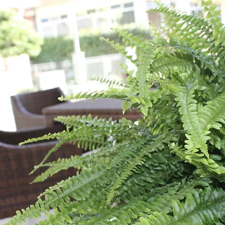 Hotell Hotel Mon Reve