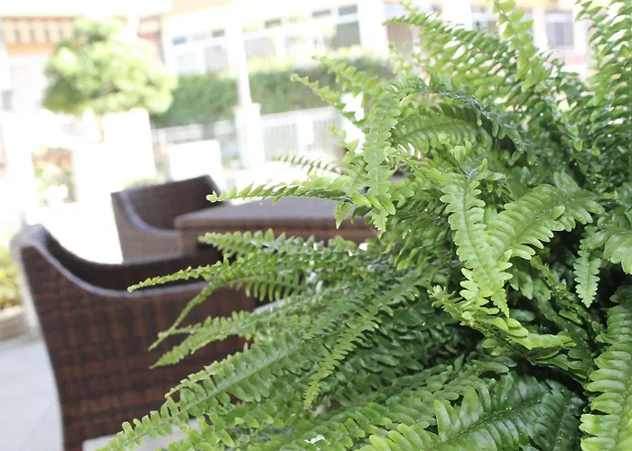 ホテル Hotel Mon Reve